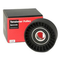 Stark SKTP0600094 - Polea tensora, correa poli V