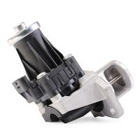 Stark SKEGR-0770130 - Válvula EGR