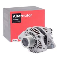 Schaeffler INA 535004910 - Rueda libre alternador