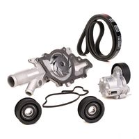 Stark SKPRB-5160012 - Bomba de agua + kit de correa poli V