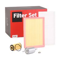 Stark SKFF0870002 - Filtro combustible