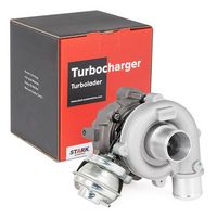 Stark SKCT1190073 - Turbocompresor, sobrealimentación