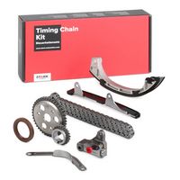 Schaeffler INA 559101730 - Juego de cadena de distribución