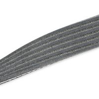 Stark SKPRB-5160003 - Bomba de agua + kit de correa poli V