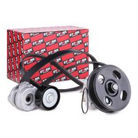 Stark SKPRB5160015 - Bomba de agua + kit de correa poli V