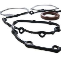 Stark SKFGS-0500111 - Juego completo de juntas, motor