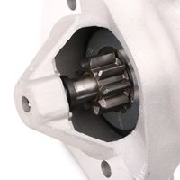 Stark SKSTR-03330534 - Motor de arranque