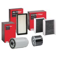 Stark SKFF0870036 - Filtro combustible