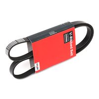 Stark SK5PK1210 - Correa trapecial poli V