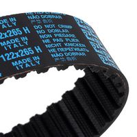 Stark SKWPT-0750197 - Bomba de agua + kit correa distribución