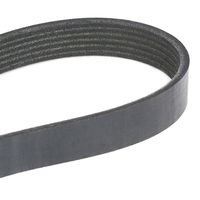 RIDEX 305P0144 - Correa trapecial poli V