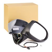 RIDEX 50O0209 - Retrovisor exterior