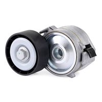 RIDEX 540T0022 - Brazo tensor, correa poli V