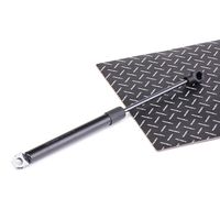 RIDEX 219G0714 - Muelle neumático, maletero/compartimento de carga