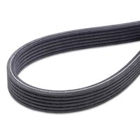 RIDEX 542R0009 - Juego de correas trapeciales poli V