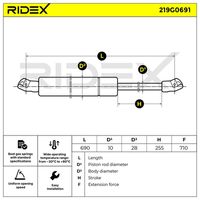 RIDEX 219G0691 - Muelle neumático, maletero/compartimento de carga