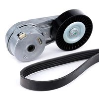 RIDEX 542R0013 - Juego de correas trapeciales poli V