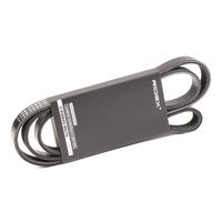 RIDEX 305P0387 - Correa trapecial poli V