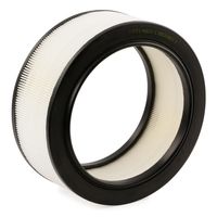 RIDEX 8A0620 - Filtro de aire