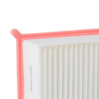 RIDEX 8A0258 - Filtro de aire