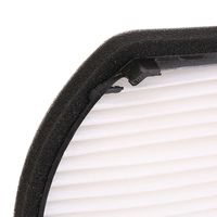 RIDEX 424I0019 - Filtro, aire habitáculo