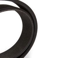 RIDEX 305P0419 - Correa trapecial poli V
