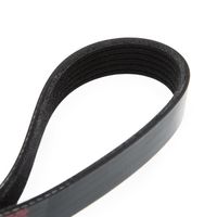 RIDEX 305P0050 - Correa trapecial poli V
