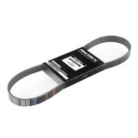 RIDEX 305P0050 - Correa trapecial poli V