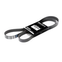 RIDEX 305P0079 - Correa trapecial poli V
