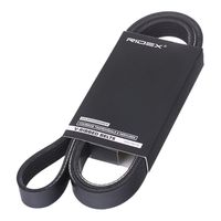 RIDEX 305P0071 - Correa trapecial poli V