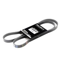 RIDEX 305P0042 - Correa trapecial poli V