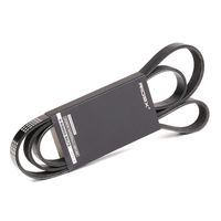 RIDEX 305P0171 - Correa trapecial poli V