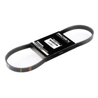 RIDEX 305P0125 - Correa trapecial poli V