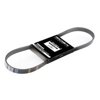 RIDEX 305P0031 - Correa trapecial poli V