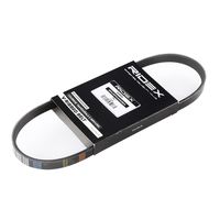 RIDEX 305P0166 - Correa trapecial poli V