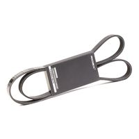 RIDEX 305P0175 - Correa trapecial poli V