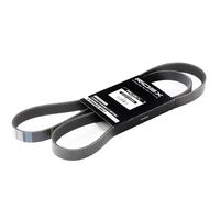 RIDEX 305P0147 - Correa trapecial poli V