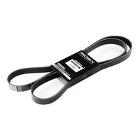 RIDEX 305P0106 - Correa trapecial poli V