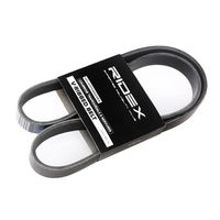 RIDEX 305P0116 - Correa trapecial poli V