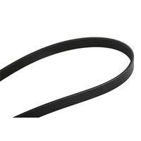 RIDEX 305B0286 - Correa trapecial poli V