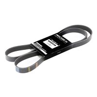RIDEX 305P0080 - Correa trapecial poli V