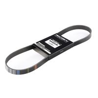 RIDEX 305P0122 - Correa trapecial poli V