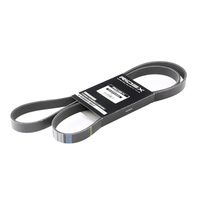 RIDEX 305P0308 - Correa trapecial poli V