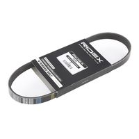 RIDEX 305P0117 - Correa trapecial poli V