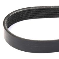 RIDEX 305P0231 - Correa trapecial poli V