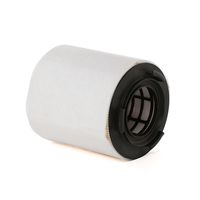 RIDEX 8A0167 - Filtro de aire