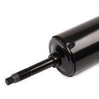 RIDEX 854S0909 - Amortiguador