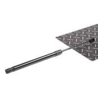 RIDEX 219G0246 - Muelle neumático, maletero/compartimento de carga