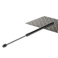 RIDEX 219G0008 - Muelle neumático, maletero/compartimento de carga