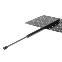 RIDEX 219G0368 - Muelle neumático, maletero/compartimento de carga